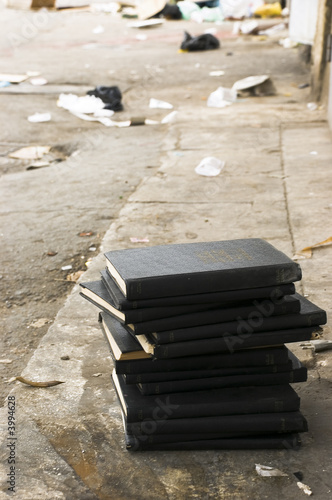 Holly books