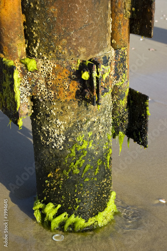 Rusted column