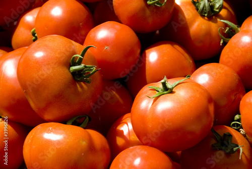 Tomaten