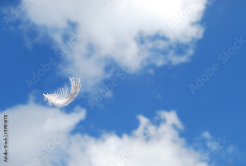 Feather floating in the sky © Paul Lampard