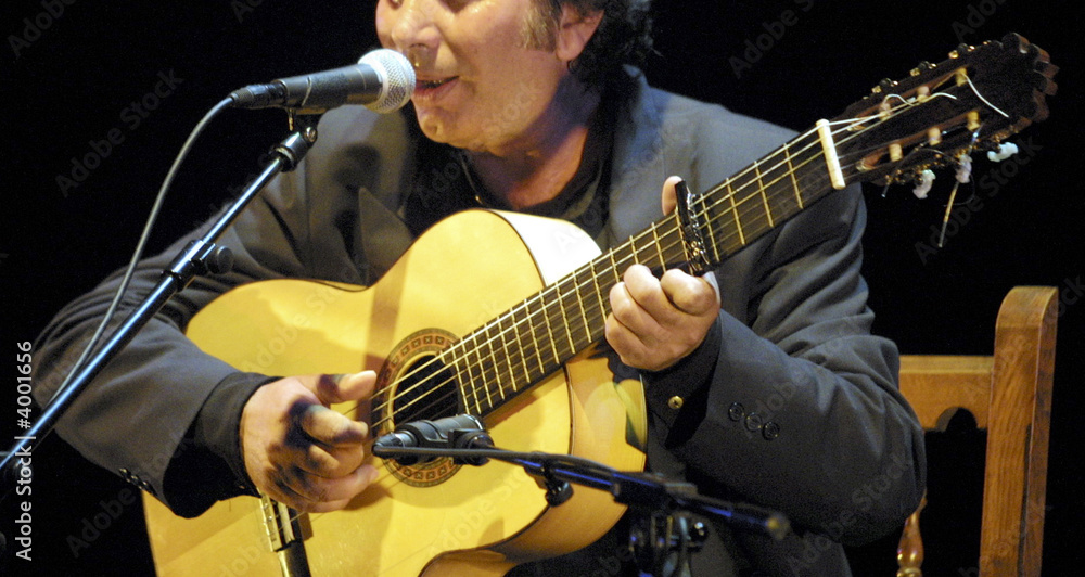 Fototapeta premium CDNENE3