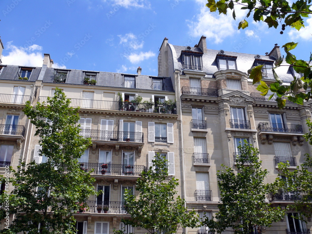 Fototapeta premium Immeubles parisiens, arbres et ciel bleu