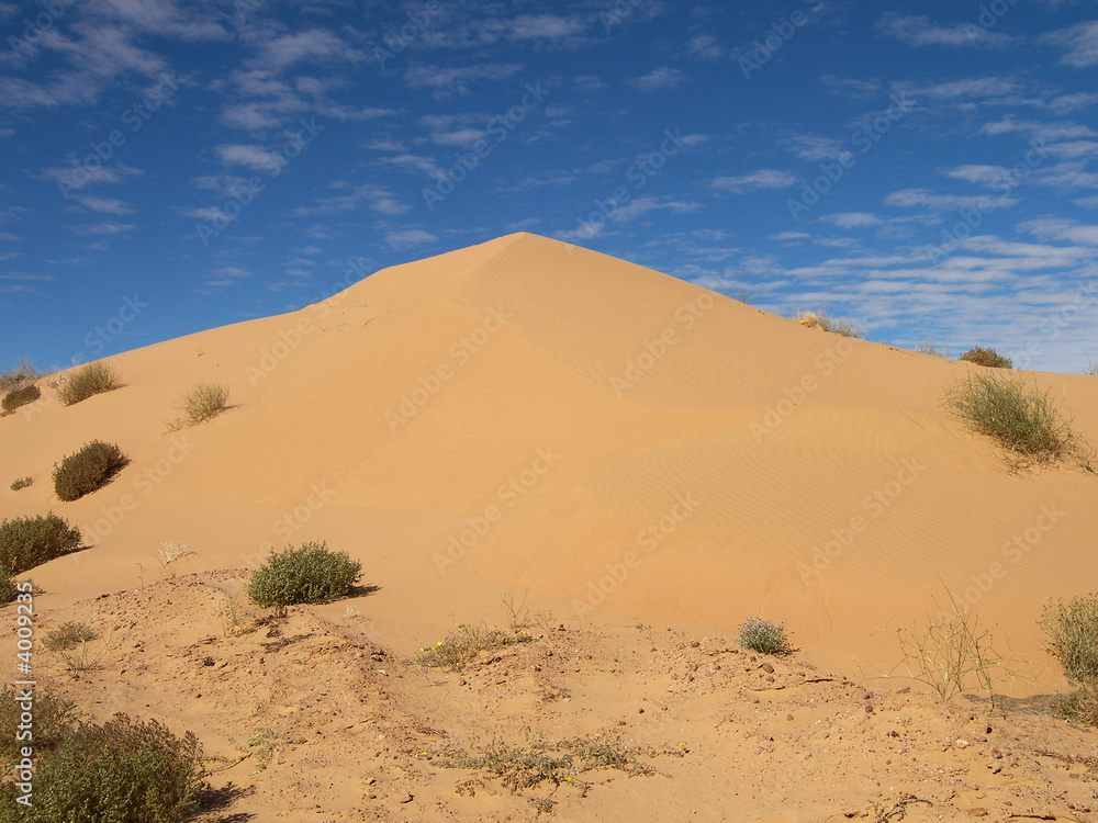 Sand Dune 174