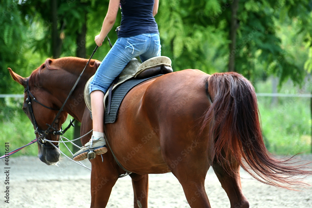 Obraz premium riding