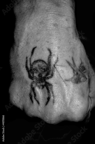 spider tattoo
