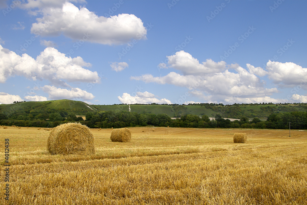 Hay Bales Near Chiltern Hills