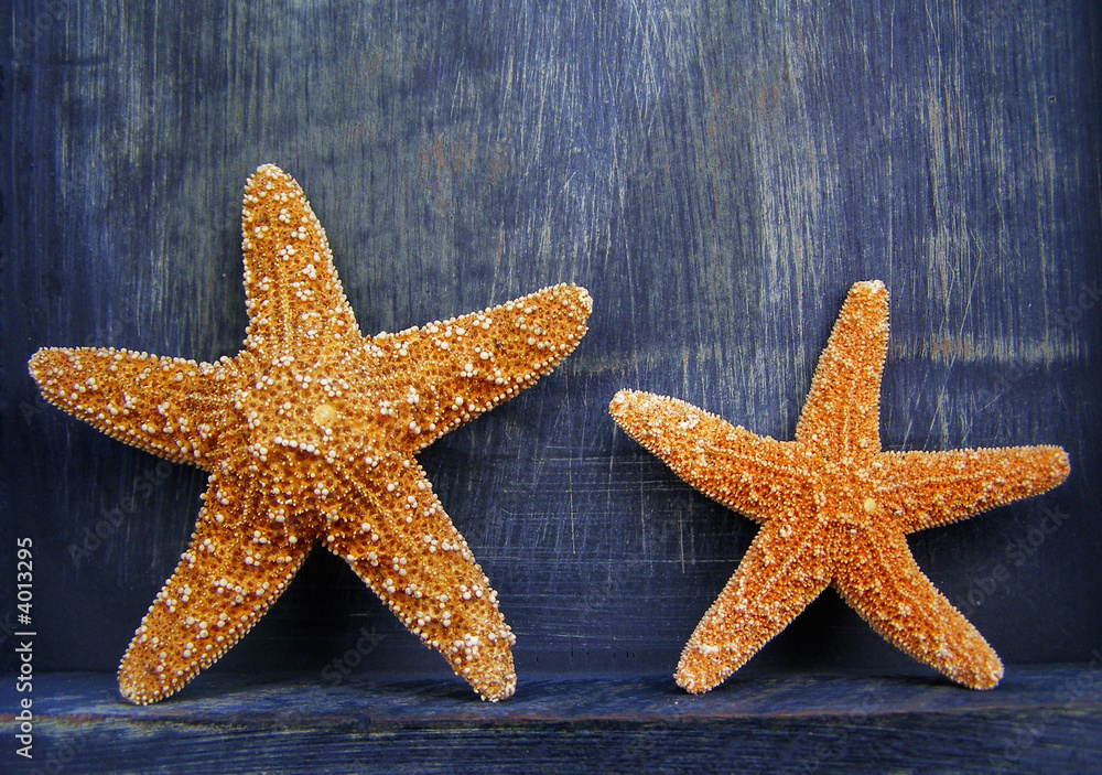 seastar 4 seastar 4