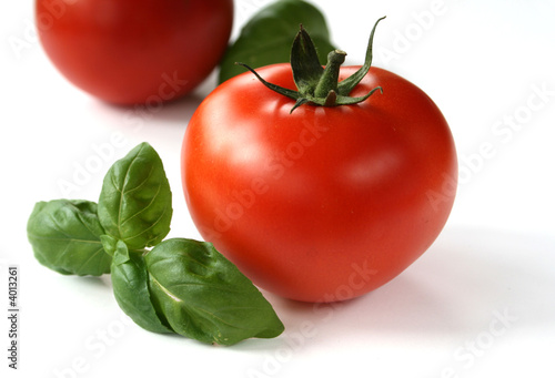 tomate_basilikum2