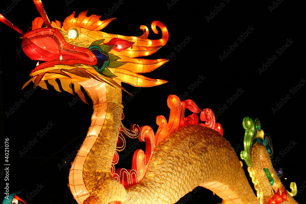 Naklejka premium dragon during chinese new years lantern festival