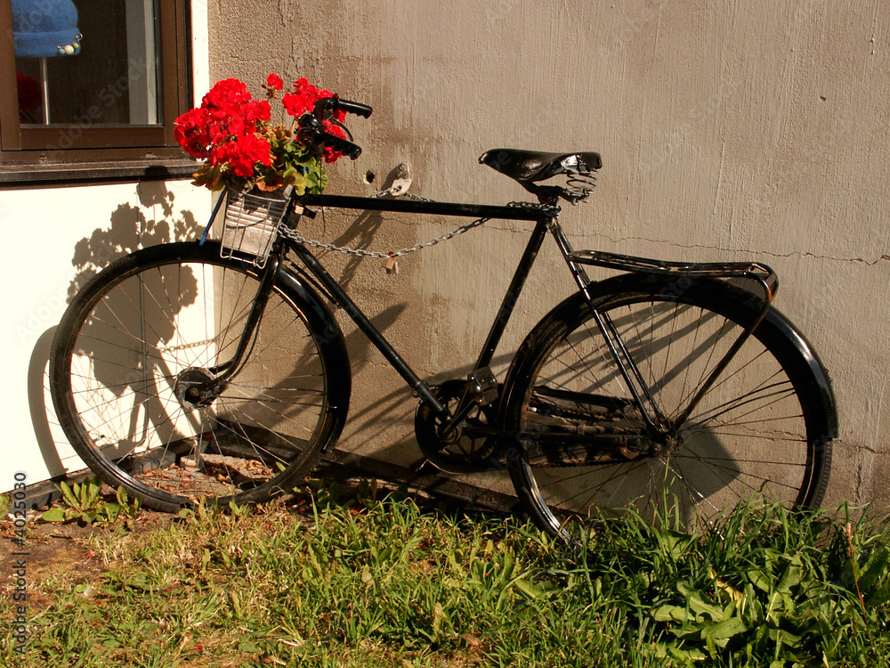 Bicicletta porta piante