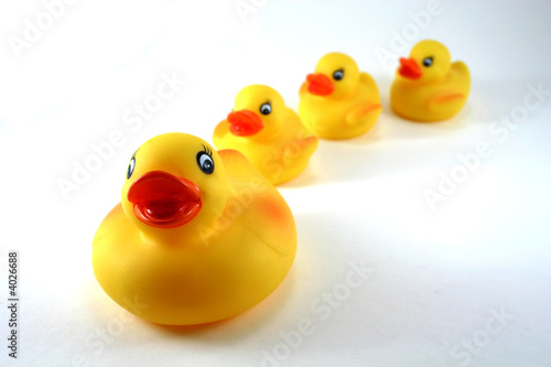 Rubber Duck Mother and Ducklings