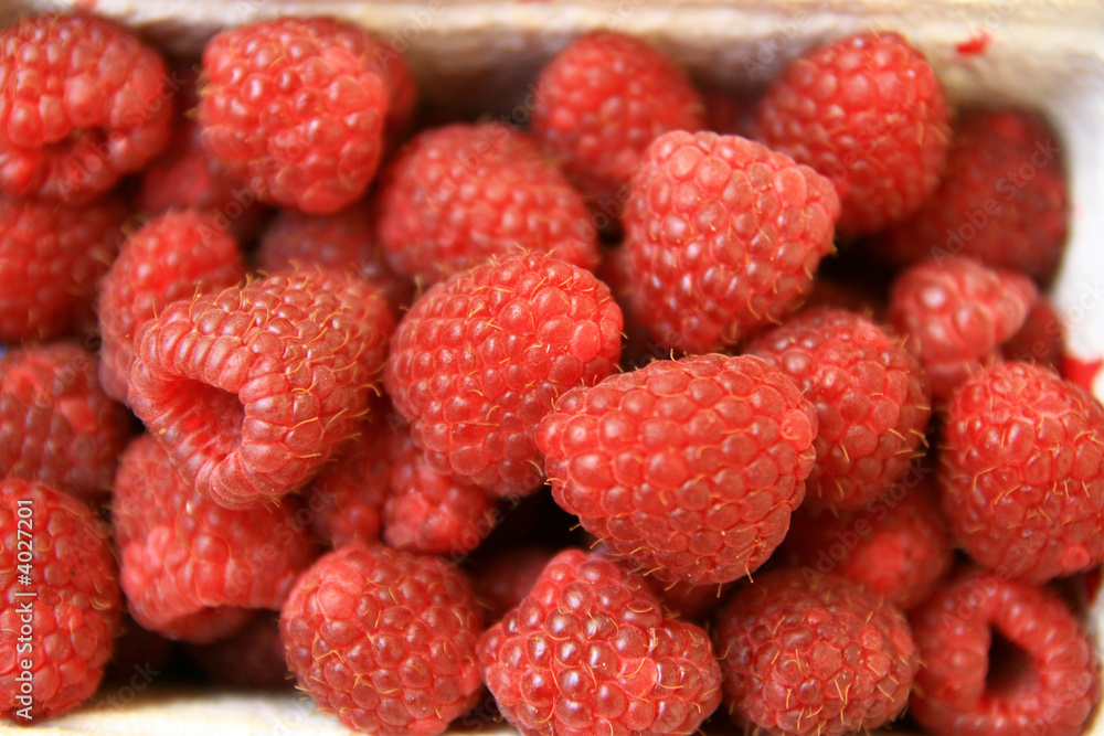 sweet red raspberries in box sweet red raspberries in box