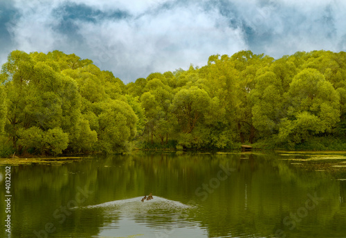 Beautiful kind of lake in a wood