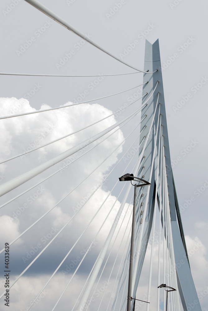 Fototapeta premium erasmus bridge rotterdam