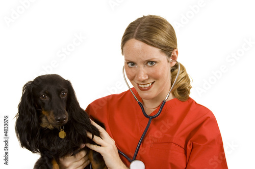 Vet