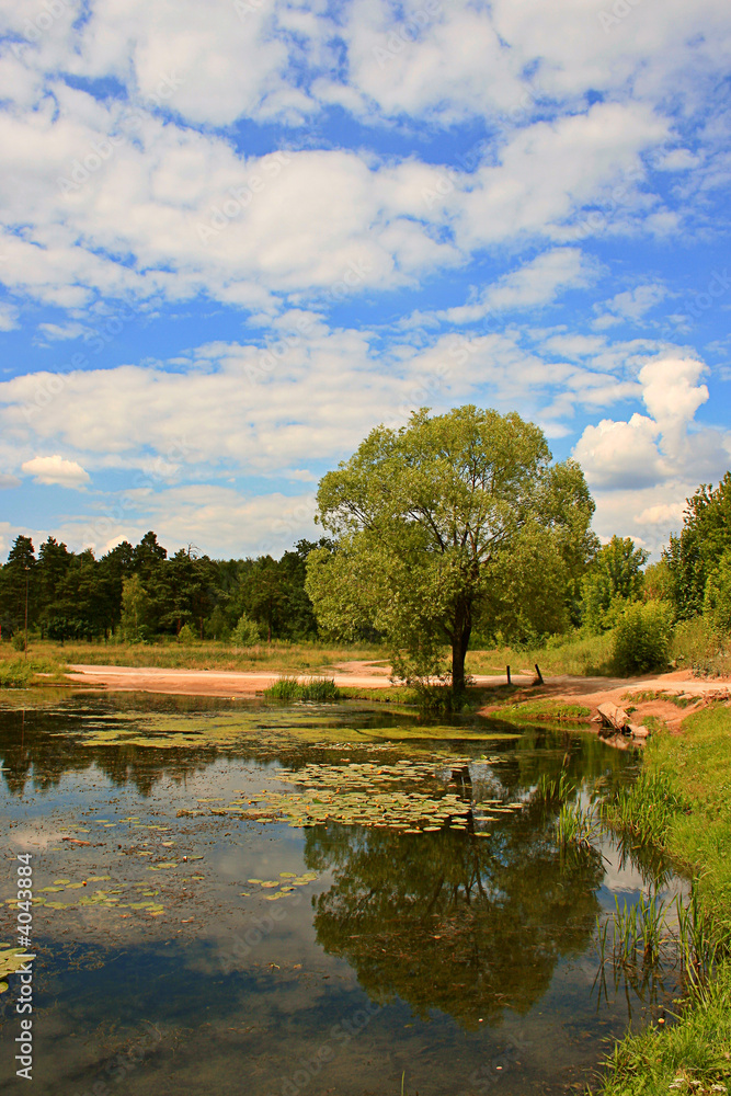 landscape with reflections tree and clouds in lake water landscape with reflections tree and clouds in lake water