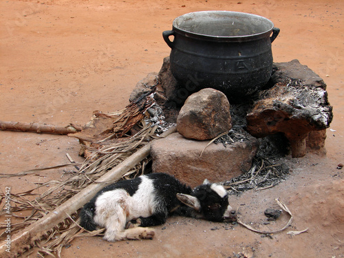 marmite et chevreau... photo