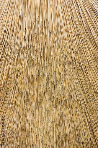 Reed Thatch