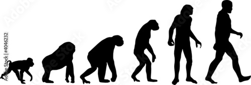 Evolution