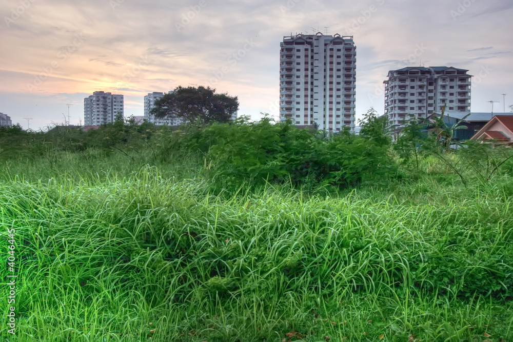 Obraz premium High grass and buildings HDR