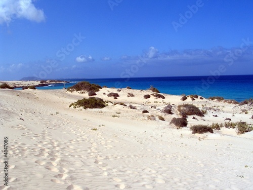 Strand Fuerteventura