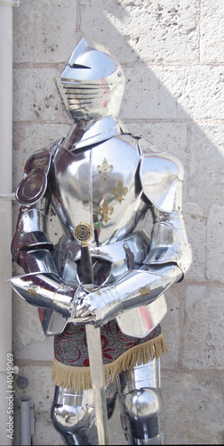 Obraz na płótnie IMG_3239armure