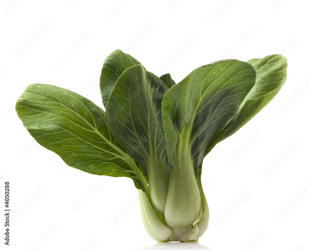 chinese cabbage