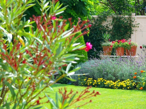 Jardin coquet avec laurier rose photo