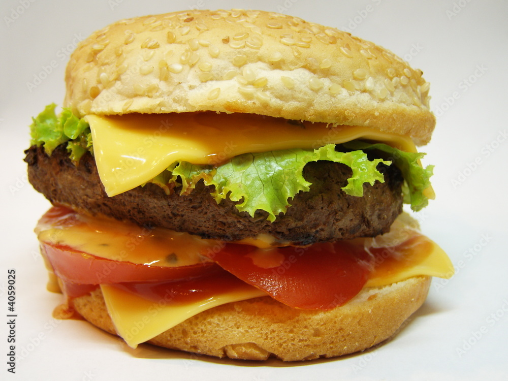 hamburger hamburger