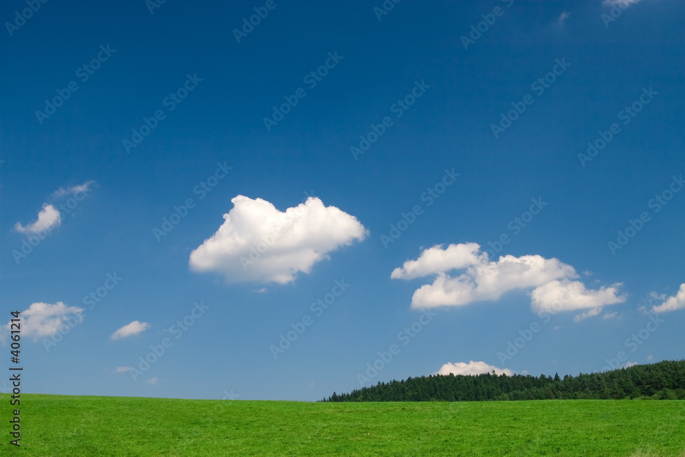 Green meadow with blue sky - obrazy, fototapety, plakaty 
