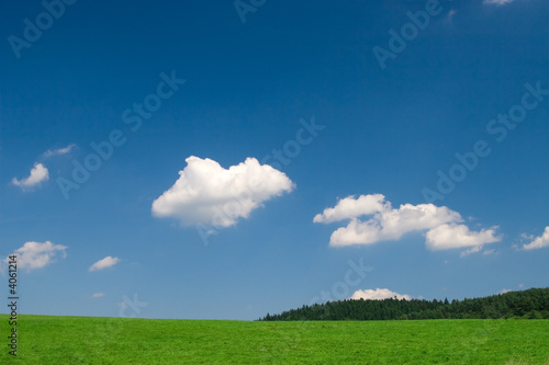 Green meadow with blue sky © tramper79