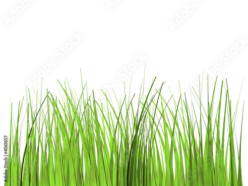 Grasfreisteller