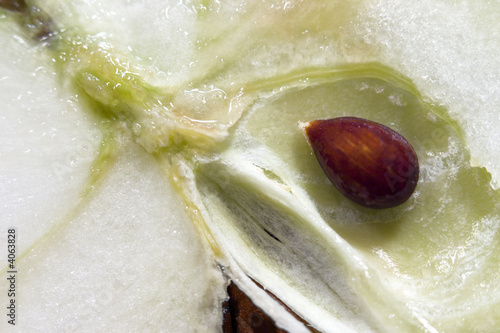 Apple texture
