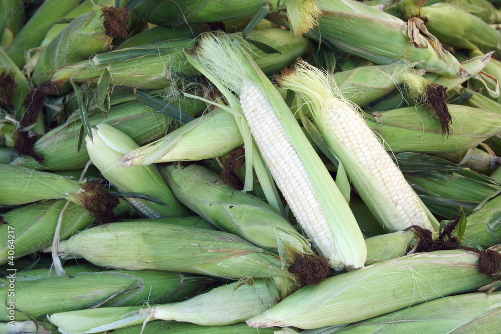 Corn on the cob Corn on the cob