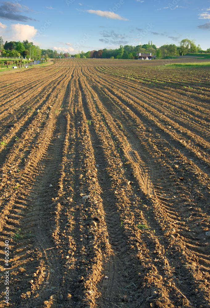 Ploughed field in spring vertical Ploughed field in spring vertical