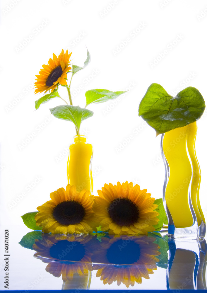 Fototapeta premium Yellow emotions