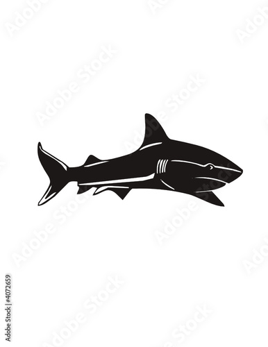 shark