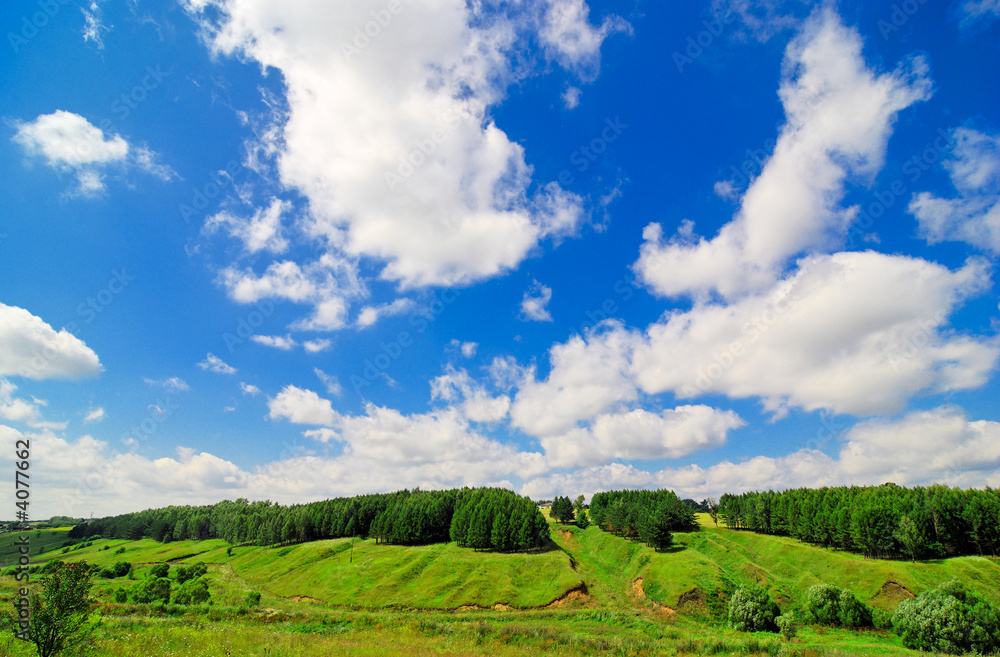 Landscape with green fields and blue sky