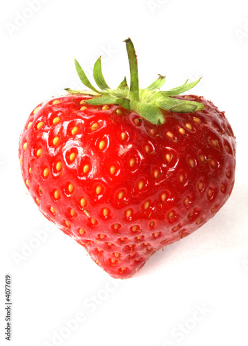 erdbeere