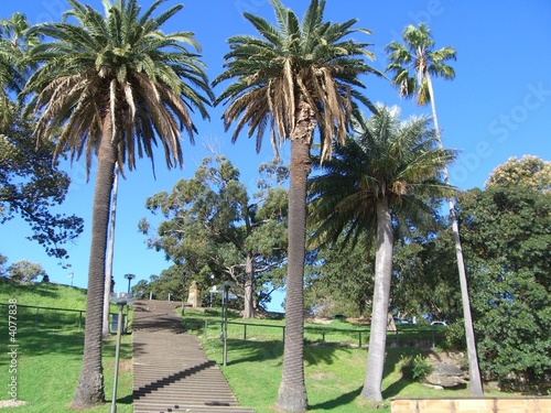 Photography Farm Cove - Sydney