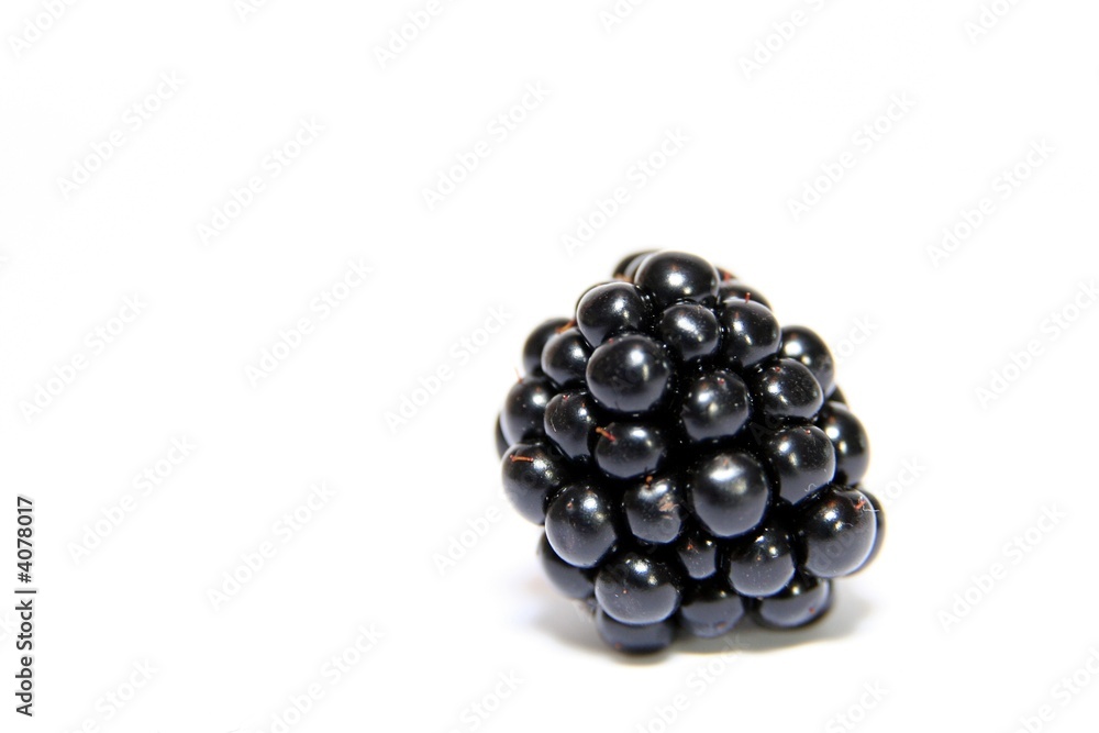 Brombeere Brombeere