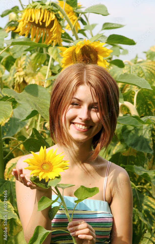 Sonnenblumen Sonnenblumen