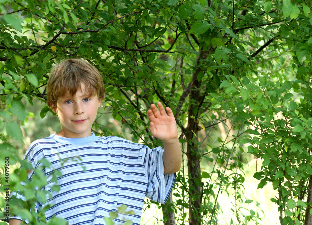In der Natur In der Natur