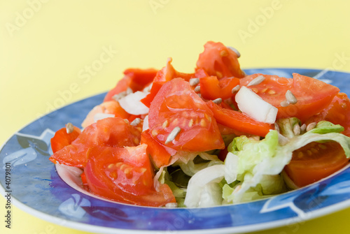 Tomato-Lettuce Salad with Sunflower-seeds 7