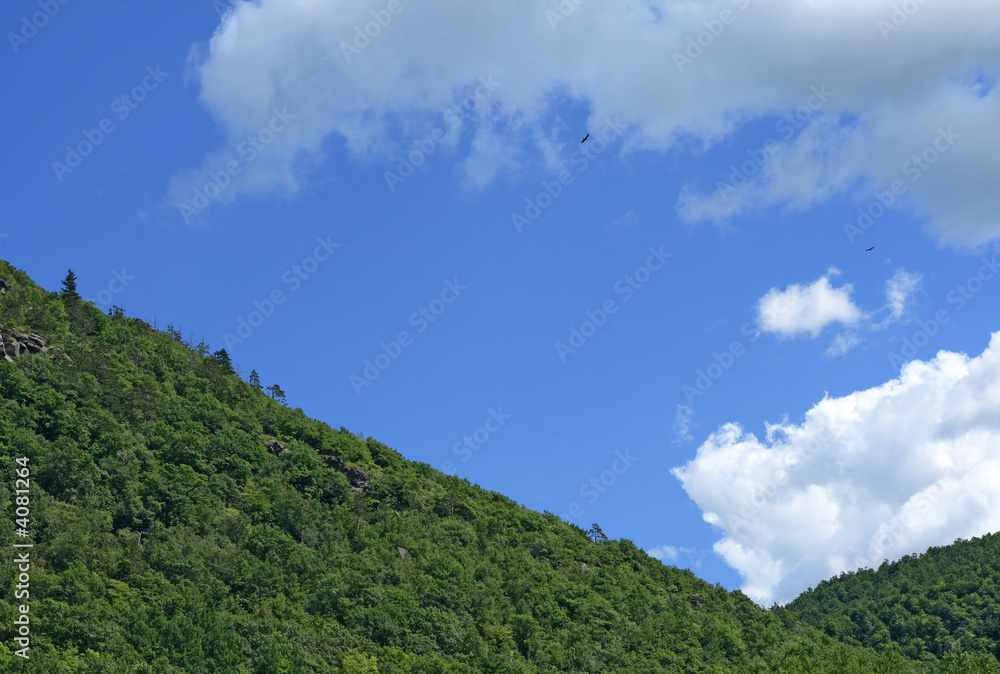 Green mountain slope