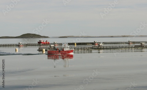 Sea farm photo
