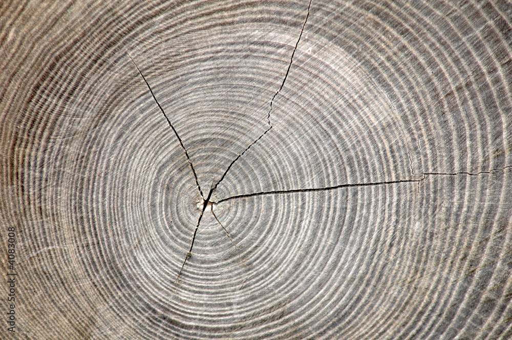 circle circle