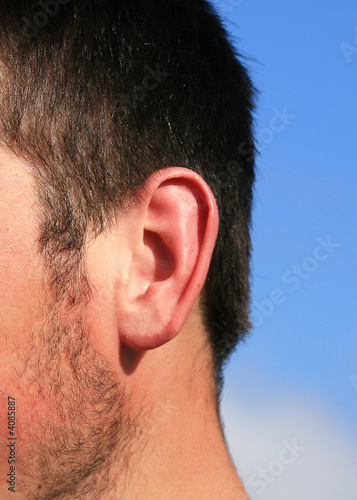 Ear hearing
