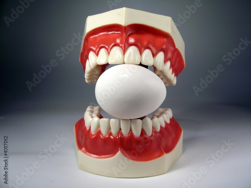 teeth model