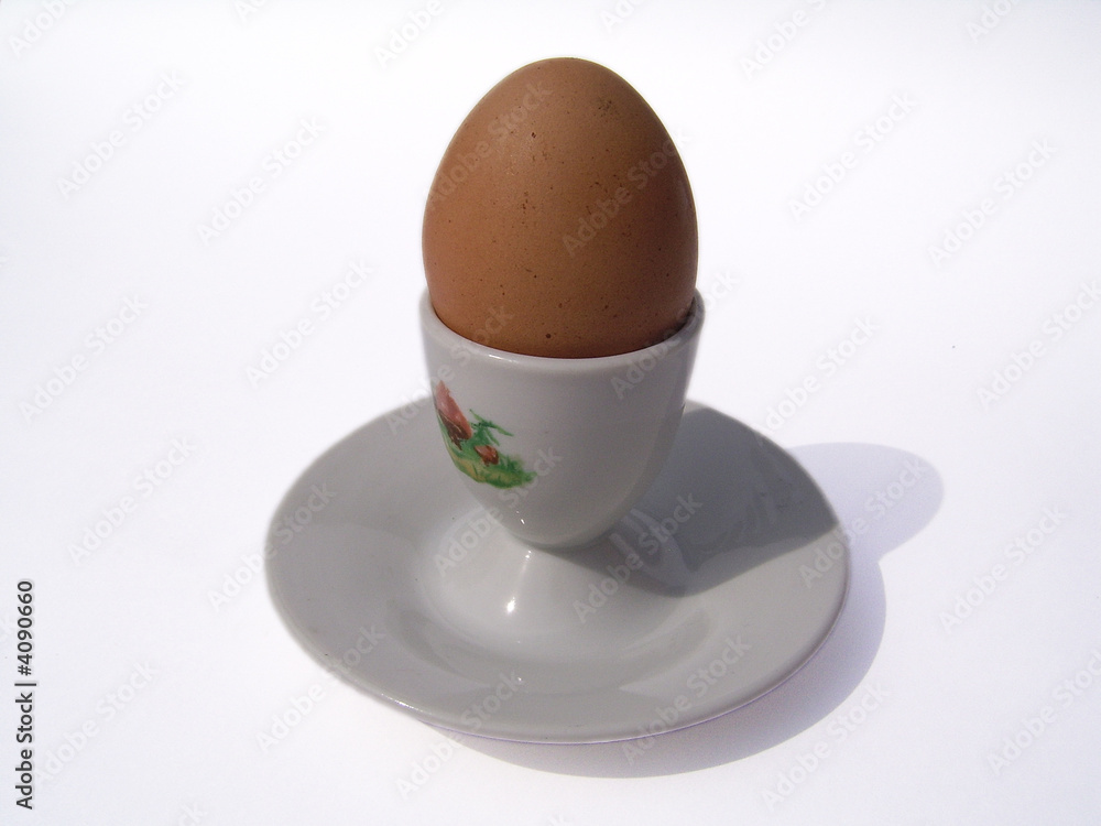chicken egg chicken egg